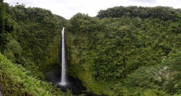 'Akaka Falls in Hawai'i